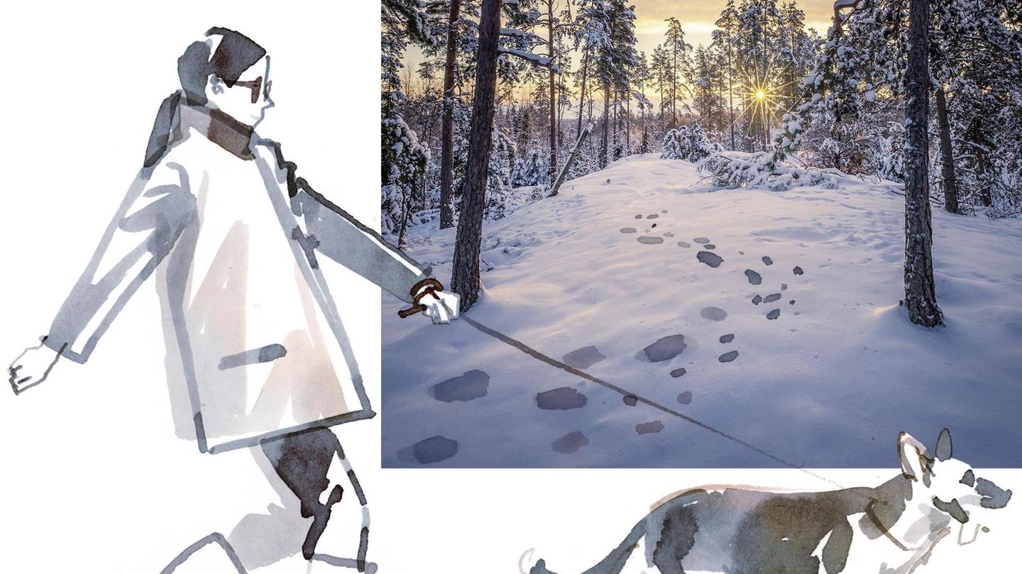 Illustration: Spaziergang mit Hund in einer Winterlandschaft Illustration: Spaziergang mit Hund in einer Winterlandschaft