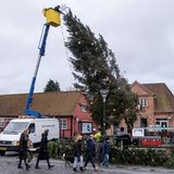 Auf der Ostseeinsel Bornholm musste dieser Weihnachtsbaum abgebaut werden, nachdem er von heftigen Winden in die Schräglage gepustet wurde. Auch in Dänemark tobte, wie in Deutschland, Ende der Woche das Sturmtief "Zoltan".