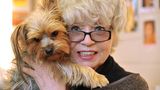 Steeger hatte ein großes Herz für Tiere, insbesondere für ihre Hunde. Hier sieht man sie 2014 mit ihrer Hündin Eliza Doolittle, die bei den meisten Auftritten der Schauspielerin dabei war. Kurz vor Weihnachten 2021 verstirbt der Vierbeiner. Für Steeger ein Schock. Gegenüber der BILD sagte sie damals: "Manchmal glaube ich, sie ist nicht tot. Ich bekomme dann richtig Angst, weil ich denke, wir haben sie lebendig beerdigt."