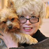 Steeger hatte ein großes Herz für Tiere, insbesondere für ihre Hunde. Hier sieht man sie 2014 mit ihrer Hündin Eliza Doolittle, die bei den meisten Auftritten der Schauspielerin dabei war. Kurz vor Weihnachten 2021 verstirbt der Vierbeiner. Für Steeger ein Schock. Gegenüber der BILD sagte sie damals: "Manchmal glaube ich, sie ist nicht tot. Ich bekomme dann richtig Angst, weil ich denke, wir haben sie lebendig beerdigt."