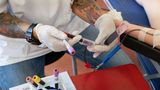 Eine Mitarbeiterin nimmt Blut von einer spendenden Person ab