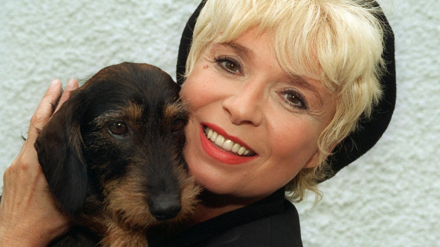 Für dieses Foto posierte Ingrid Steeger 1997 mit ihrem Rauhaardackel Lucky Luke. In den 1970er Jahren feierte sie als blondbezopfte sommersprossige Tochter Gaby der chaotischen "Klimbim"-Familie in der gleichnamigen ARD-Comedy große Erfolge. Später bekam Steeger, die am 1. April 1947 in Berlin als Anita Stengert geboren wurde, Rollen in Krimireihen wie "Der Kommissar" und "Derrick" und arbeitete mit Größen wie Curd Jürgens, Harald Juhnke und Horst Tappert zusammen. Zuletzt war es ruhig geworden um sie. Bei den Proben zu den Bad Hersfelder Festspielen im Mai 2019 wirkte sie angeschlagen, sie musste beim Gehen und Stehen gestützt werden. Am 22. Dezember 2023 starb die vielseitige Schauspielerin und Kabarettistin im Alter von 76 Jahren.