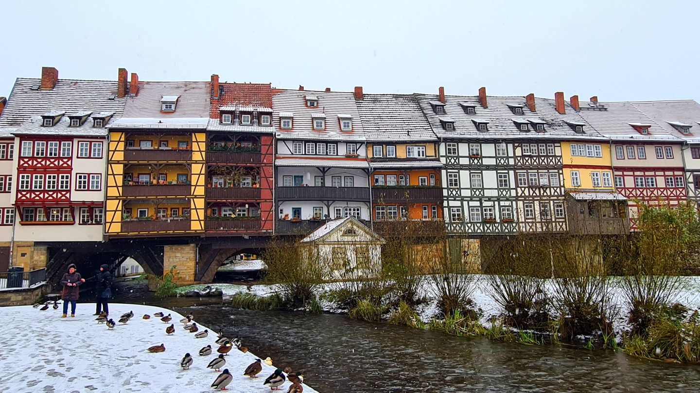Enten sitzen an einem schneebedeckten Flussufer