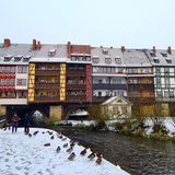 Enten sitzen an einem schneebedeckten Flussufer