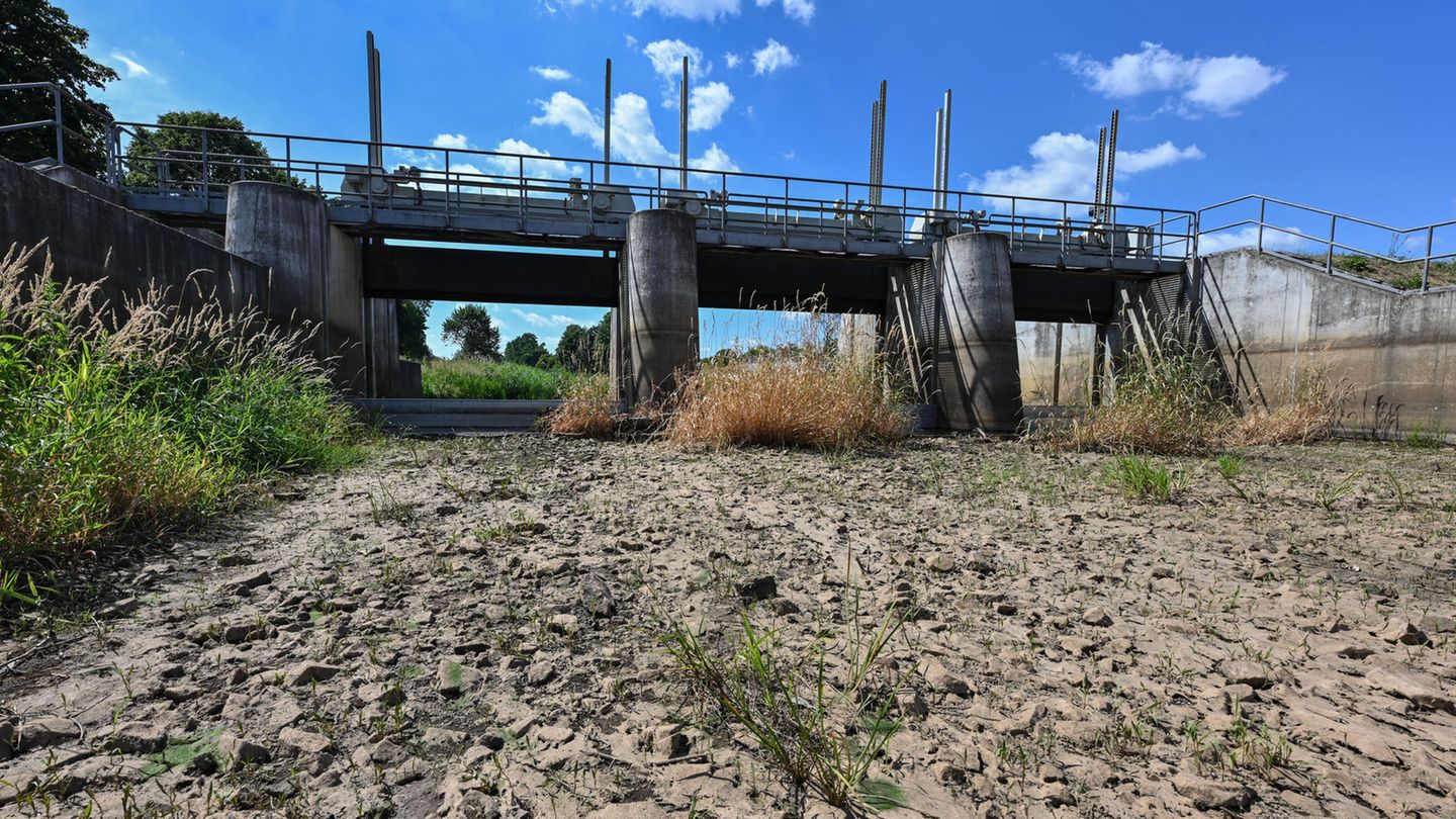 Hitze in Deutschland: Der Fluss Schwarze Elster in Südbrandenburg ist ausgetrocknet