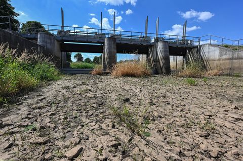 Hitze in Deutschland: Der Fluss Schwarze Elster in Südbrandenburg ist ausgetrocknet