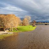 Die Elbe bei Dresden führt Hochwasser
