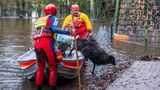 Mitarbeiter der DLRG retten in der Wedemark Heidschnucken. Eine Herde wurde vom Wasser eingeschlossen