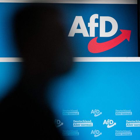 Die AfD gilt in den Augen vieler als echte Gefahr für die Demokratie