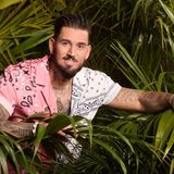 Er ist bereits ein alter Hase im Reality-TV-Geschäft: Mike Heiter war bereits im "Sommerhaus der Stars" (2019), bei "Kampf der Realitystars" (2021) oder bei "Are you the One - Reality Stars in love" (2023) zu sehen. Zudem hat er als damaliger Partner von Elena Miras 2020 bereits hinter die Kulissen des Dschungelcamps schauen können. Nun tritt er selbst auf die große Bühne. Mit ihm wird man rechnen müssen.