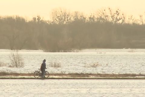 Video: Warten auf die Scheitelwelle