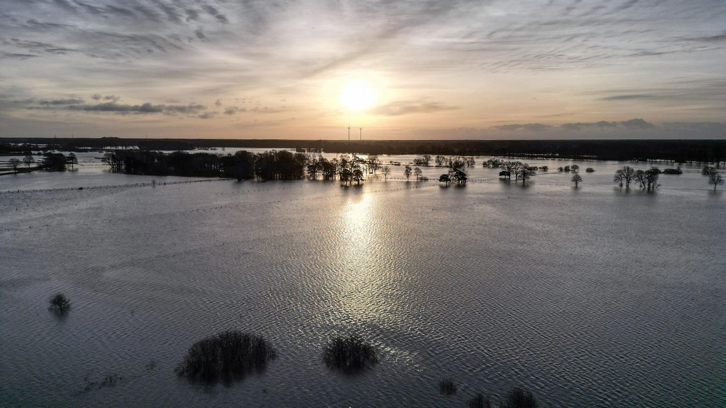 Hochwasser Winsen