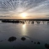 Hochwasser in Winsen/Aller