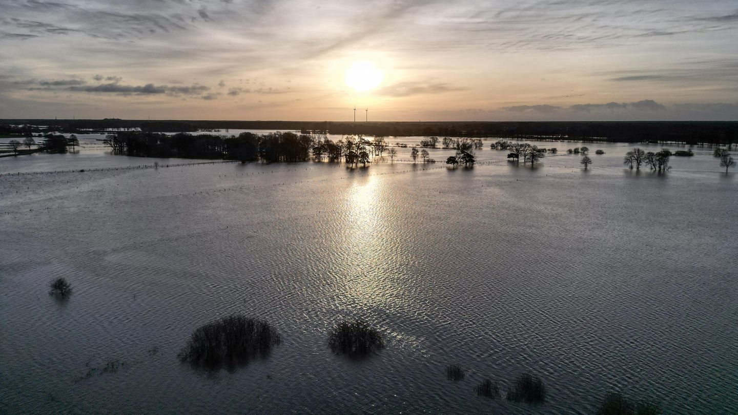 Hochwasser in Winsen/Aller