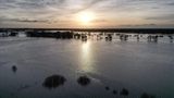 Hochwasser in Winsen/Aller