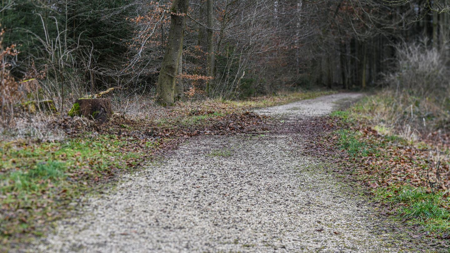 Wald Ulm