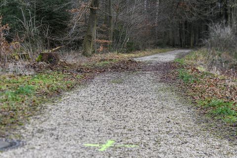 Wald Ulm