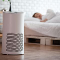 Gerät, um Schimmel im Schlafzimmer zu entfernen