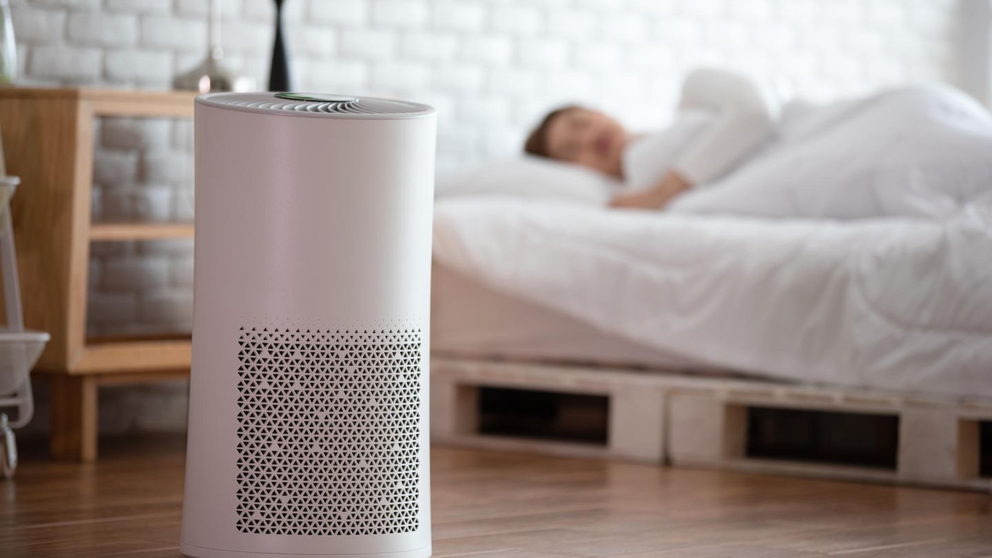 Schimmel im Schlafzimmer Gerät, um Schimmel im Schlafzimmer zu entfernen