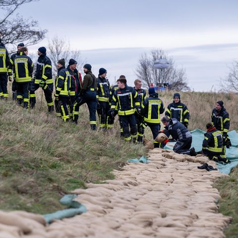 Schutz vor Hochwasser: Feuerwehrleute bilden Kette am Deich