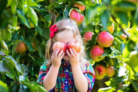 Klima: Mit dieser Ernährung halten Sie nicht nur sich gesund – sondern auch die Erde