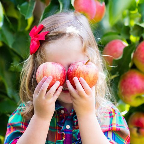 Klima: Mit dieser Ernährung halten Sie nicht nur sich gesund – sondern auch die Erde Klima: Mit dieser Ernährung halten Sie nicht nur sich gesund – sondern auch die Erde