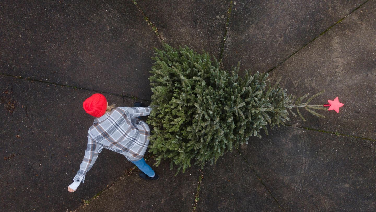 Heilige Drei Könige : Weg mit den Weihnachtsbäumen: Was beim Entsorgen erlaubt und besonders nachhaltig ist – und was nicht