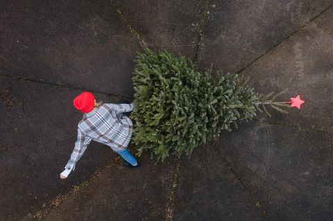 Eine Frau entsorgt einen Weihnachtsbaum.