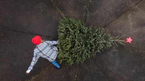 Eine Frau entsorgt einen Weihnachtsbaum.