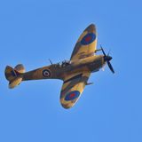 Eine Supermarine Spitfire in Wüstentarnfarbe im Flug