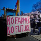 Mit Schildern wie "No Farmer, No Future" demonstrieren die Bauern gegen die Agrarpolitik der Bundesregierung.