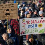 "Wir brauchen unsere Bauern" heißt es auf Schildern – Menschen demonstrieren in Berlin