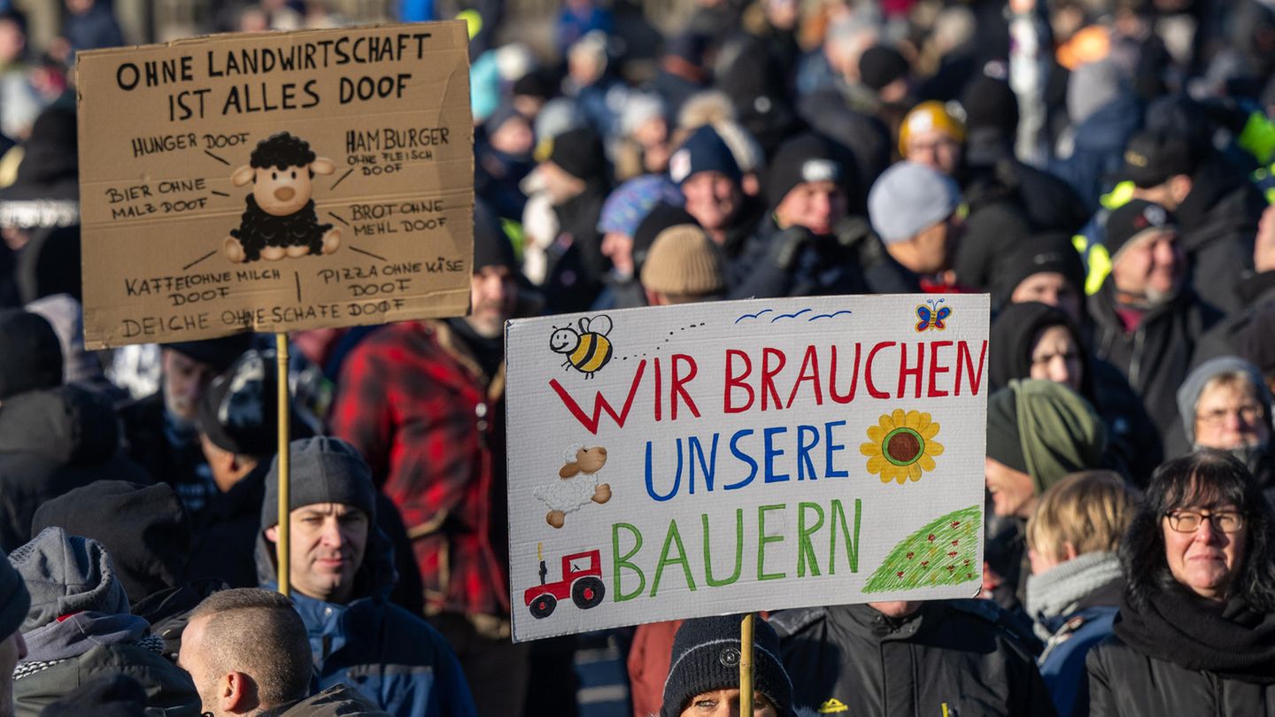 "Wir brauchen unsere Bauern" heißt es auf Schildern – Menschen demonstrieren in Berlin
