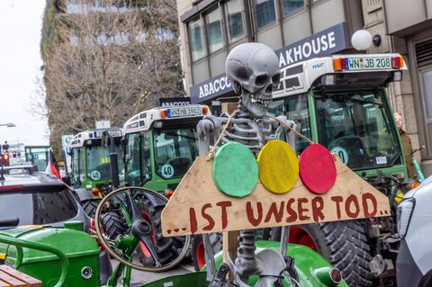 Ein Landwirt schickt in Stuttgart diese klare Botschaft an die Ampelregierung in Berlin.