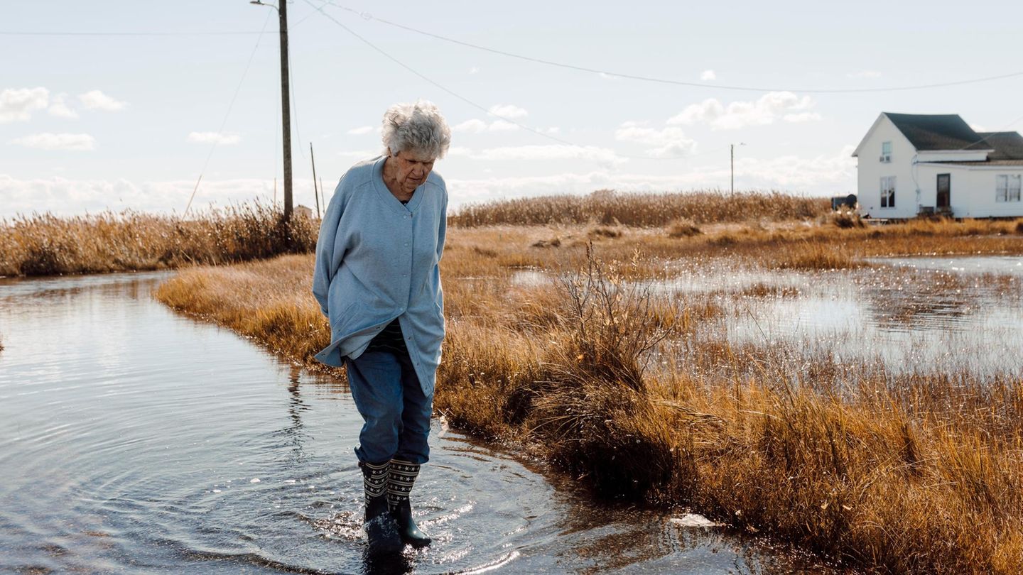 Tangier Island in Virginia: The island of the Trumpists