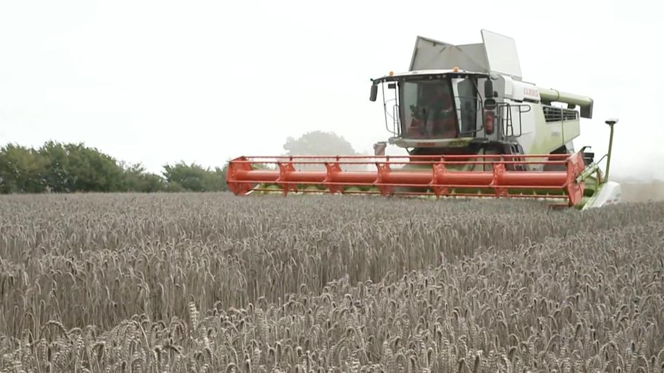 Sparpläne der Regierung: Bauernproteste in Deutschland: So wurden Landwirte bisher subventioniert Sparpläne der Regierung: Bauernproteste in Deutschland: So wurden Landwirte bisher subventioniert