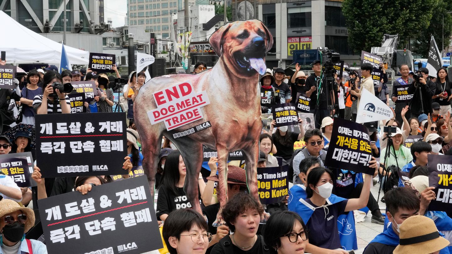 South Korea: Dogs can no longer be slaughtered for consumption