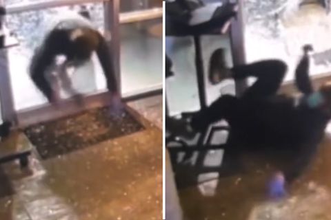 Kalifornien: Sprung durch zerbrochene Glastür: Einbrecher blamiert sich mit missglückter Ninja-Rolle