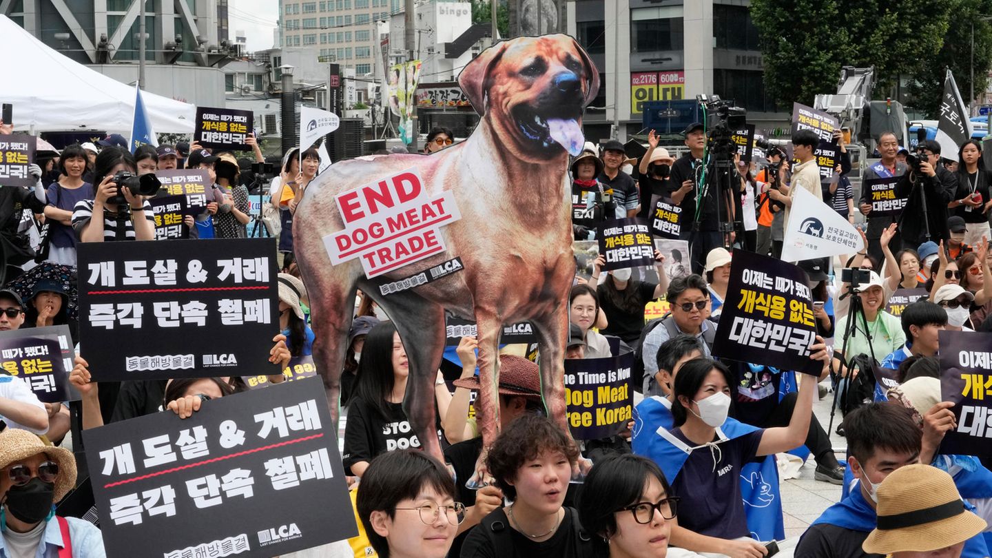Sie haben ihr Anliegen nun durchgesetzt: Tierschützer fordern bei einer Demonstration in Seoul ein Verbot des Handels mit Hundefleisch