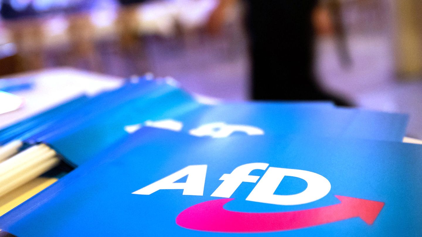 Fähnchen mit dem Logo der AfD liegen auf einem Tisch