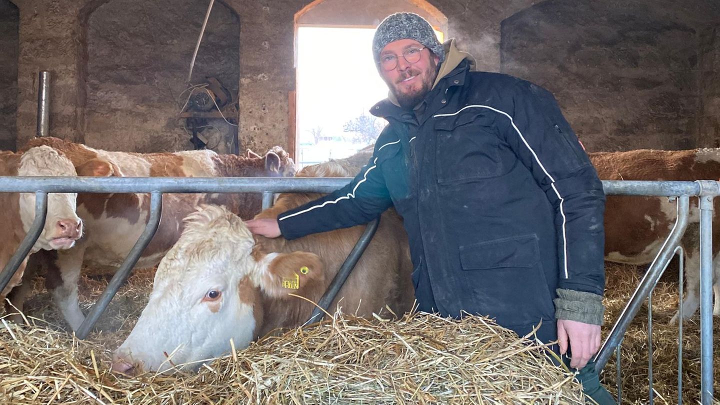 Bauer Johann Franz, 30, hat 25 Mutterkühe