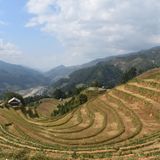 Reisterrasse in Mu Cang Chai