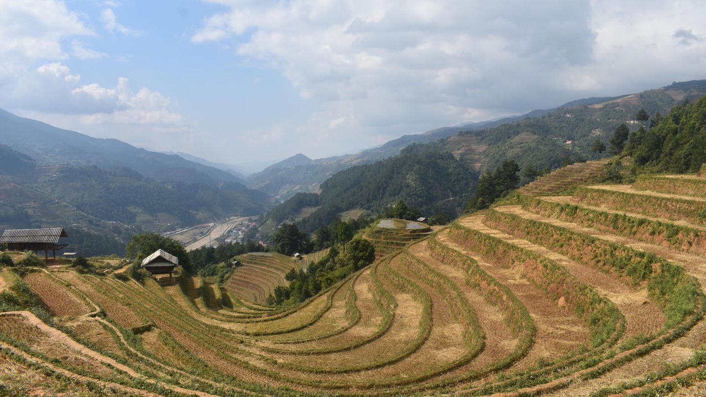 Mu Cang Chai Reisterrasse in Mu Cang Chai