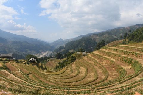 Reisterrasse in Mu Cang Chai