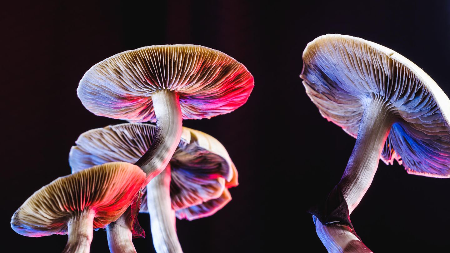 Brain doping: Why intoxicants are finding their way into the executive suite