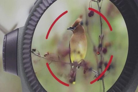 CES in Las Vegas: Beeindruckende Technik: KI-Fernglas erkennt bis zu 8000 Vogelarten