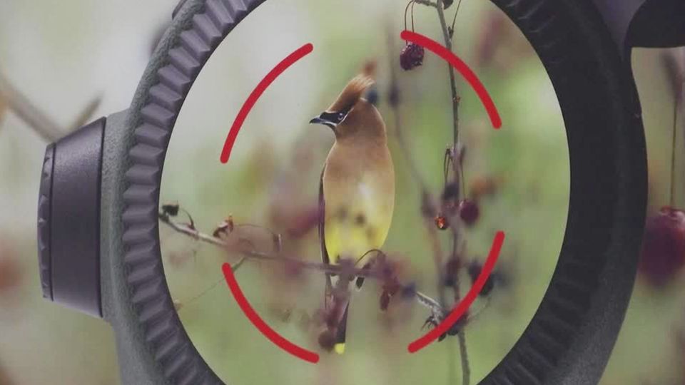 CES in Las Vegas: Beeindruckende Technik: KI-Fernglas erkennt bis zu 8000 Vogelarten