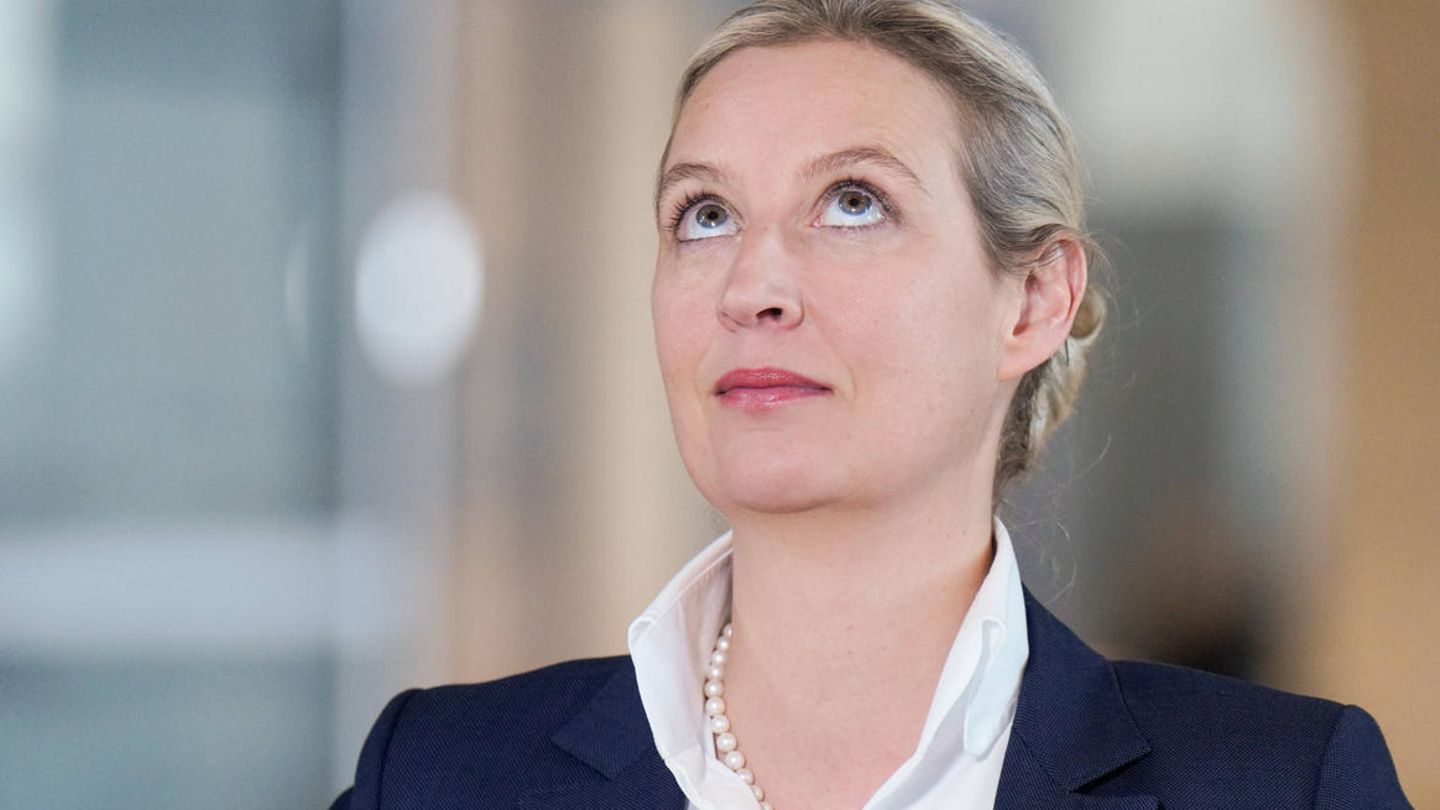AfD-Chefin Alice Weidel