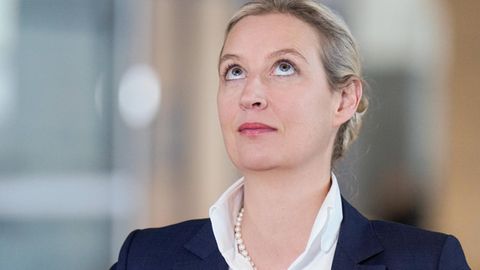 AfD-Chefin Alice Weidel