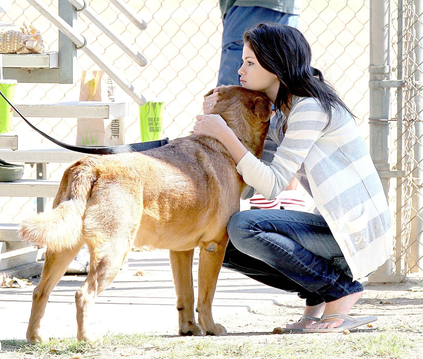Selena Gomez mit Hund